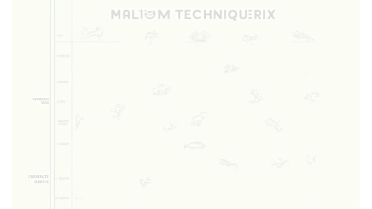 An infographic or diagram illustrating various fishing techniques (e.g., jigging, casting, spinning) matched to specific lure types and target fish species